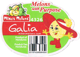 Melon Galia