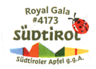 Royal Gala Medium