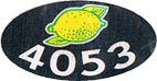 Lemon Large