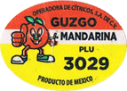 Mandarin Satsuma