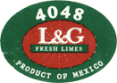 Lime Regular