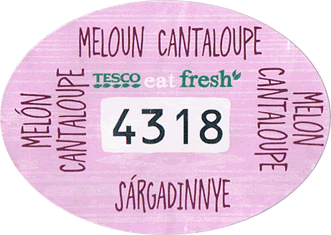Melon Cantaloupe/Muskmelon<br>Small East