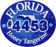 Mandarin Honey Murcott<br>Large