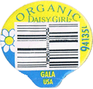 Gala Large West Organic