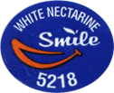 Nectarine White Flesh<br>- Sub Acid Medium