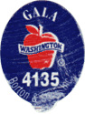 Gala Large West