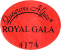 Royal Gala Large