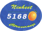 Mandarin