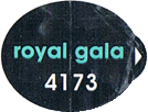 Royal Gala Medium