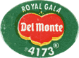 Royal Gala Medium