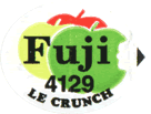 Fuji Medium