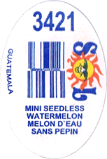 Watermelon Seedless Mini