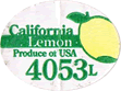 Lemon Large