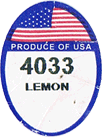 Lemon Small