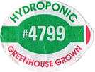 Greenhouse/Hydroponic Large
