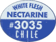Nectarine<br>White Flesh Large