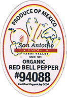 Capsicum<br>Bell Red Organic