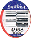 Lemon Medium