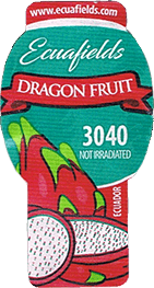 Pitahaya