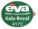 Royal Gala Medium
