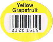 Grapefruit