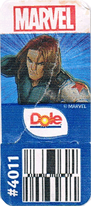 Cavendish Extra Large