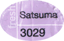 Mandarin Satsuma