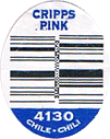 Pink Lady Large