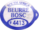 Beurre Bosc Large