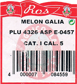 Melon Galia