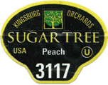 Peach Tree Ripened Large East