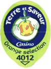 Orange Navel<br>Large West