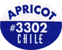Apricot Regular Large