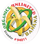 Cavendish<br>Extra Large Organic