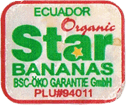 Cavendish<br>Extra Large Organic