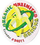 Cavendish<br>Extra Large Organic