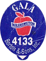 Gala Small West