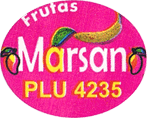 Plantain/Macho