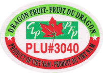 Pitahaya