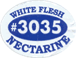 Nectarine<br>White Flesh Large