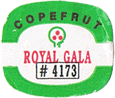 Royal Gala Medium