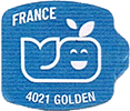 Golden Delicious<br>Medium West