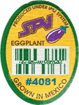 Eggplant
