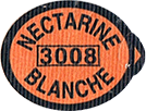 Rubinette