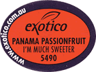 Passionfruit Panama