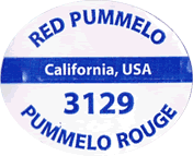 Pomelo Red Large