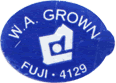 Fuji Medium