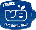 Royal Gala Medium