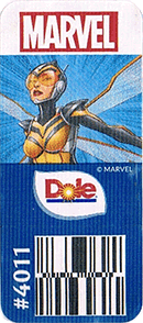 Cavendish Extra Large