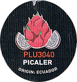 Pitahaya